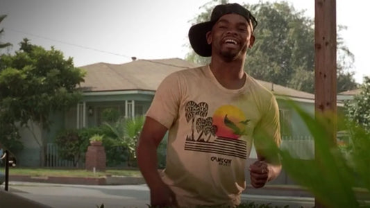 South Central LA: The Cultural Significance of Friday's Setting
